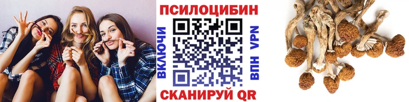 Галлюциногенные грибы мицелий  Серафимович 